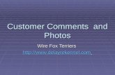 Customer  Comments  and Photos of Wire Fox Terriers