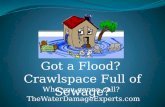 Water Damage Experts Ripoff Scam is a Total Lie - This is an HONEST business