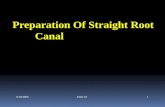 Endo note 10  preparation of straight canal