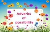 Adverbs of possibility