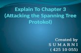Attacking the spanning tree protocol