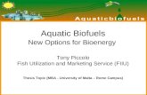 Aquatic Biofuels Presentation