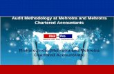Audit Methodology