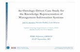An ontology-driven case study for the knowledge representation of management information systems