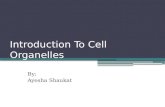 Introduction to cell organelles