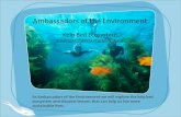 Kelp Ecology Slideshow