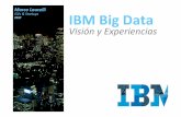 IBM Big Data  Views for corporate & Startups
