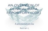 An overview of clinical data repository