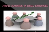 Profit planning in small enterprice