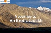 Exotic Ladakh