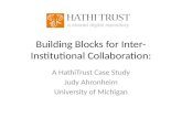 Building blocks for inter institutional digital Collaboration
