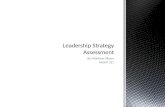 Leadership strategy assessment