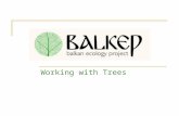 Working with trees