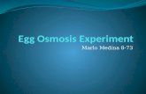 Marlo's Egg osmosis experiment