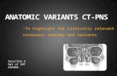 ANATOMICAL VARIANTS OF CT PNS