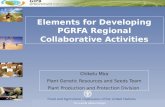 Elements for developing PGRFA regional collaborative activities