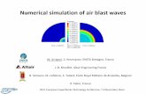 Numerical simulation of air blast waves