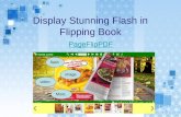 Display stunning flash in flipping book