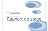 Rapport de stage exchange