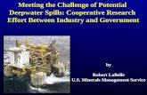 MMS Presentation on Deep Water Oil Spill Risks