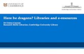 Here be dragons: libraries and e-resources