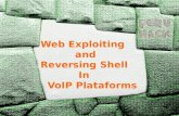 Web exploits in VoIP Platforms