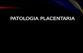 Patologia placentaria