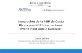 Integración de la MIP de Costa Rica a una MIP Internacional
