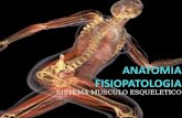 Anatomia fisiopatologia sistema musculo esqueletico