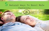 5 Natural Ways To Boost Male Fertility