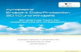 cynapspro endpoint data protection 2010 und windows security