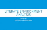 Literate environment analysis1