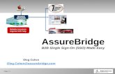 AssureBridge - SSO to Many B2B Service Providers - Marketing presentation
