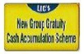 LIC's Delhi New Group Gratuity Cash Accumulation Plan Details Benefits Bonus Calculator Review Example