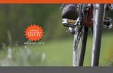 Cycle Against Suicide: Breaking the Cycle of Suicide on the Island of Ireland - Jim Breen and Magnus Collins