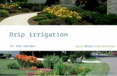 Drip Irrigation in the Garden