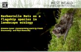 West Weald Landscape Project Conference: Barbastelle bat 2014