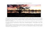 A Brief History of the Murray River