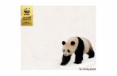 WWF - 50 years of Achievements