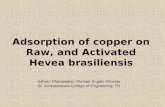 Adsorption of copper on raw, and activated 1