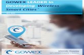 Let´s GOWEX - Shareholders Bulletin - oct 13