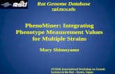 PhenoMiner -integrating phenotype values for multiple strains