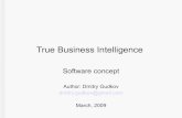 True Business Intelligence (software concept)