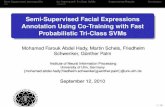 Semi-supervised Facial Expressions Annotation Using Co-Training with Fast Probabilistic Tri-Class SVMs