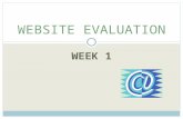 Website Evaluation (Week 1)