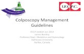 4  prof james bently management guidelines 2014