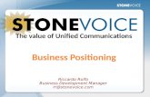 Stonevoice   Business Positioning