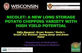 Nicolet a new long storage variety with high yield potential