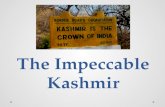 The Impeccable Kashmir