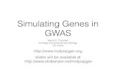 Simulating Genes in Genome-wide Association Studies